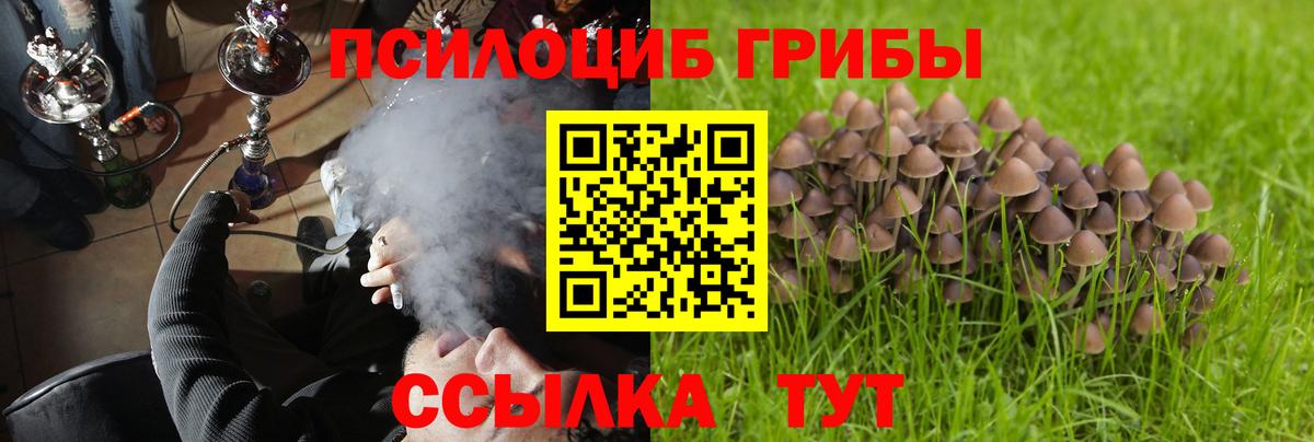 Галлюциногенные грибы ЛСД  купить  сайты  Тимашёвск  Вход с VPN  Галлюциногенные грибы MAGIC MUSHROOMS 